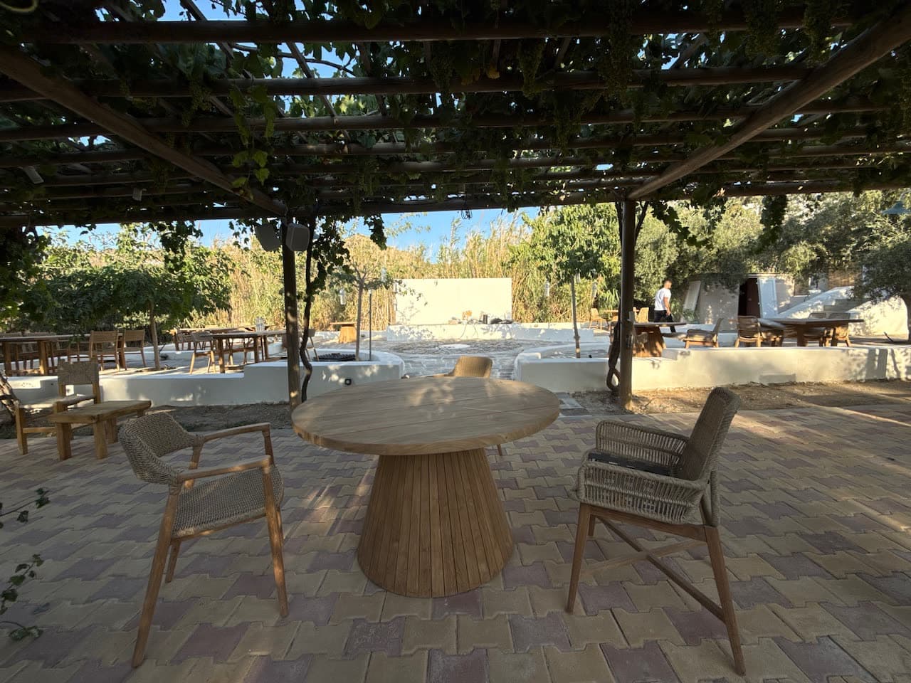 Grapevine pergola dining at Southbeach Naxos