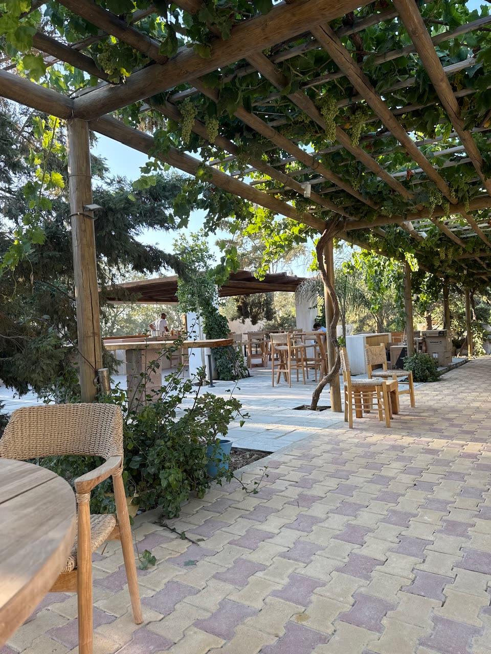 Outdoor dining at Southbeach Naxos